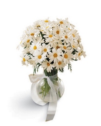 The Miss Daisy Vase from Philips' Flower & Gift Shop
